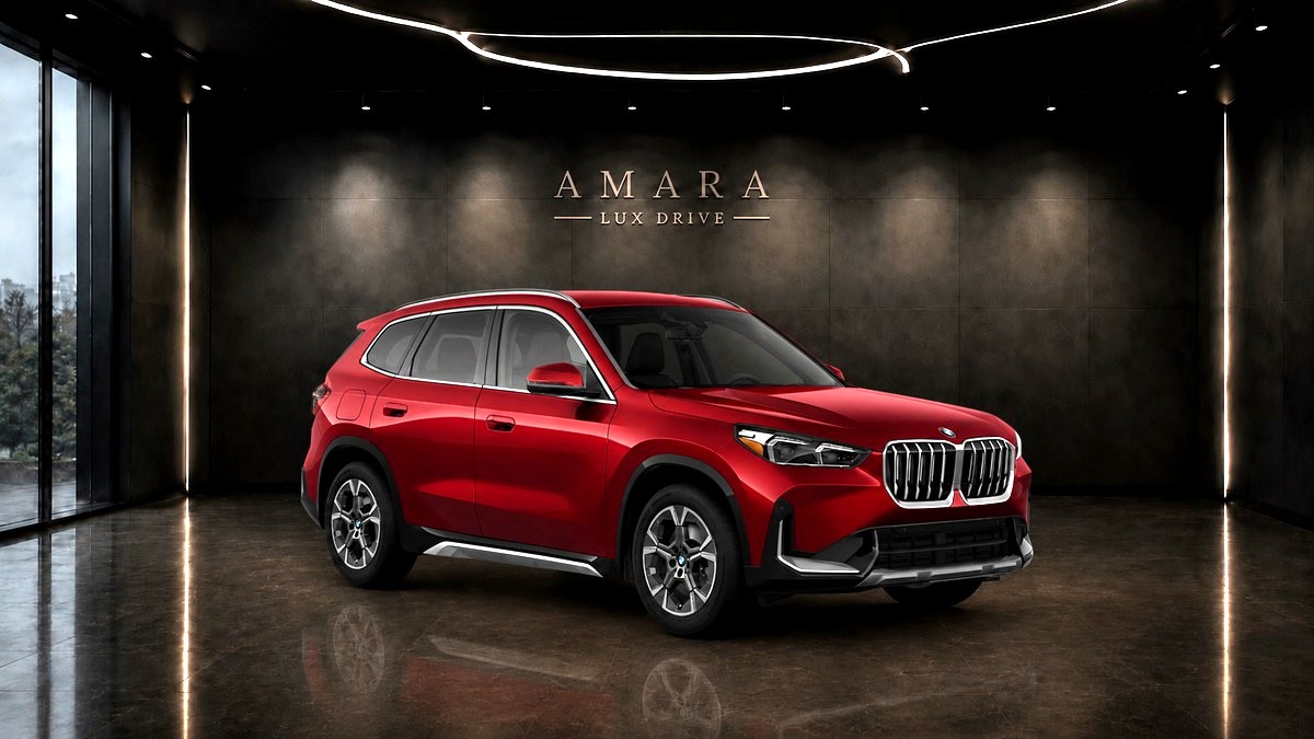 BMW X1
